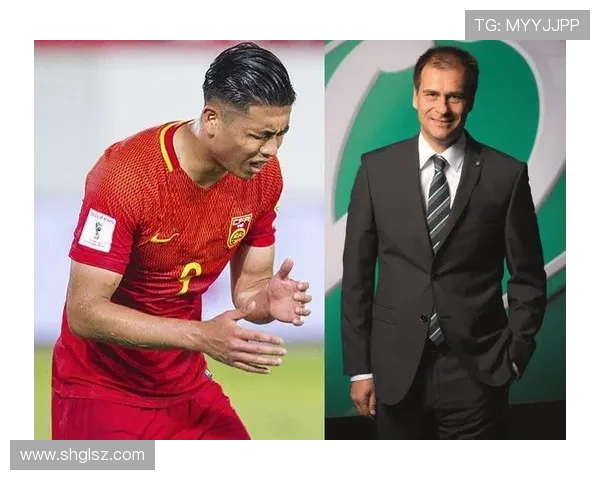 中国人参与的德甲球队情况介绍